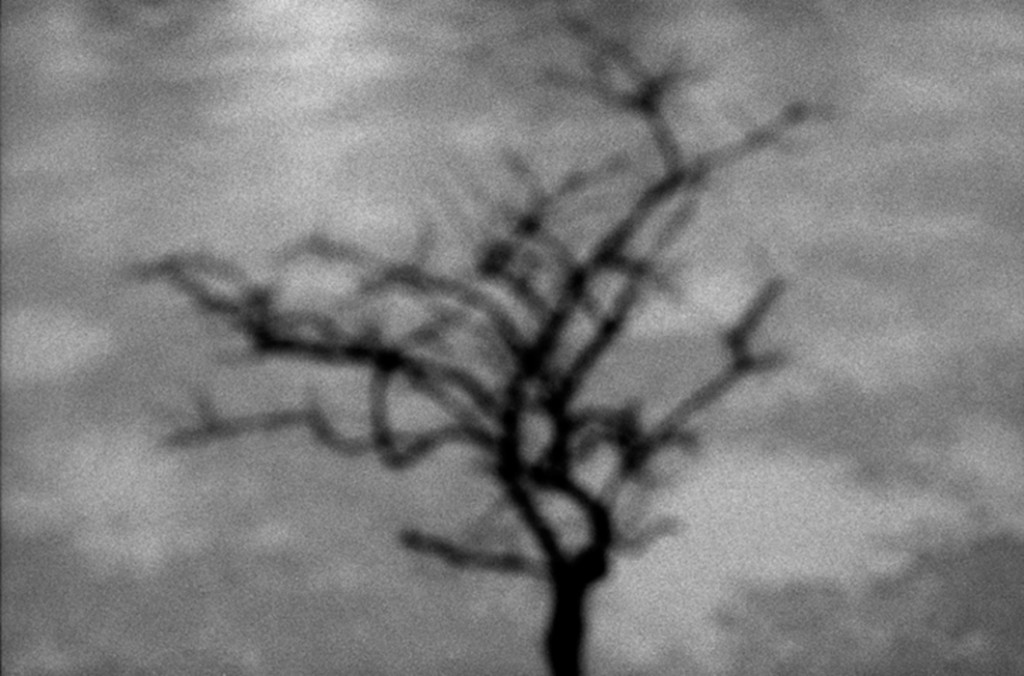 temporal (3)
