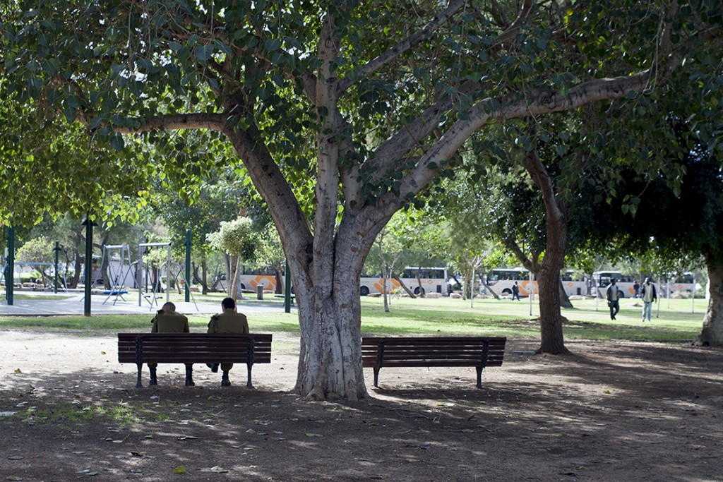 _MG_7823 copia